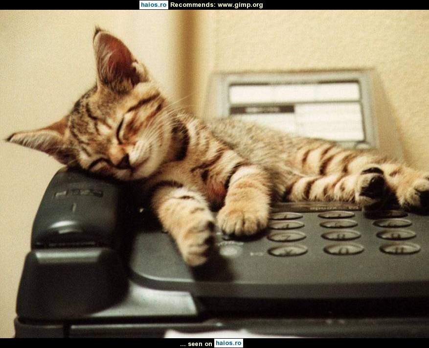 Pisicuta a vrut sa dea telefon, dar n-a
reusit, asa ca a adormit