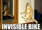 Bicicleta invizibila