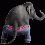Dansul elefantului sexy, special pentru
tine!
