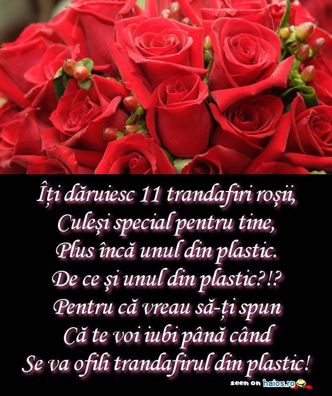Iti daruiesc 11 trandafiri rosii, culesi
special pentru tine, plus inca unul din
plastic. Te voi iubi pana cand se va
ofili trandafirul din plastic!