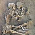 Descoperire: imbratisarea cuplului de
5000 de ani!