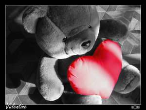 Valentine Little Bear...
