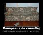 Canapeaua de camuflaj pentru cand te
cauta nevasta