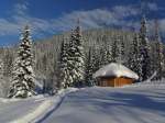 Peisaj: Cabana la munte iarna in zapada
in padurea de brazi