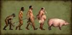 Evolutia omenirii - de la maimuta la
porc!
