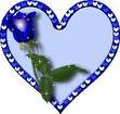 Avatar in forma de inima cu trandafir
albastru, Narcys si Roxana