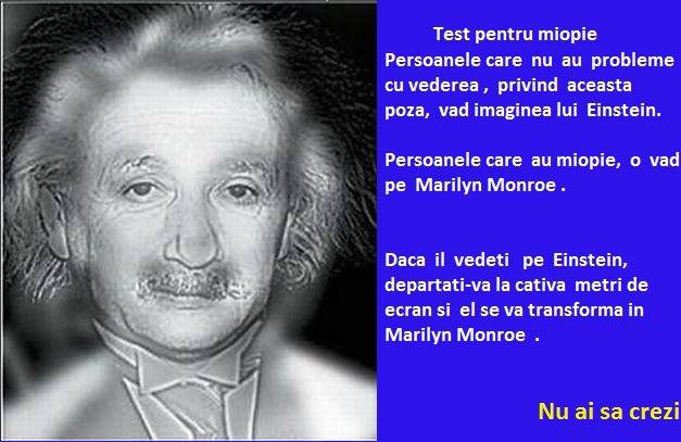 Test pentru miopie: il vezi pe Einstein
sau pe Marilyn Monroe