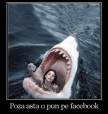 Poza asta o pun pe Facebook (fata
pozandu-se in gura rechinului)