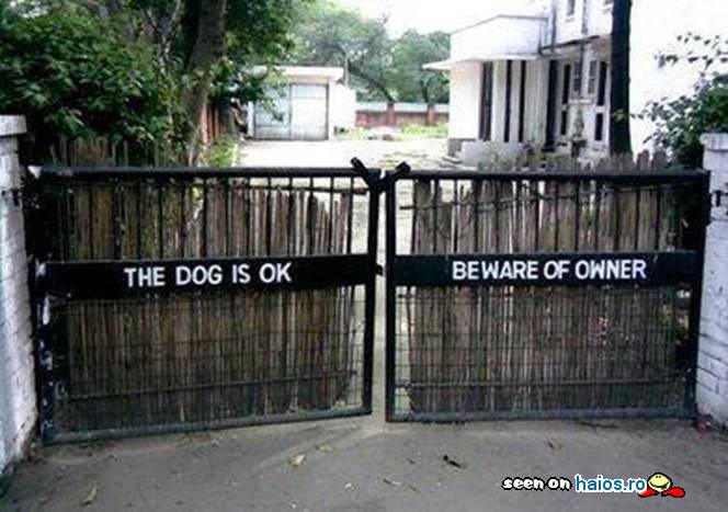 The dog is ok, beware of the owner!
