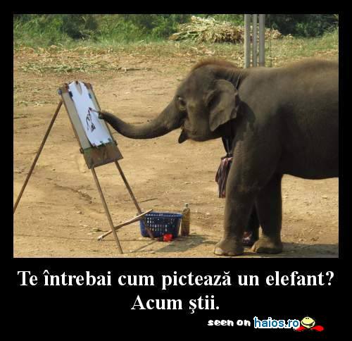 Te intrebai cum picteaza un elefant?
Acum stii.